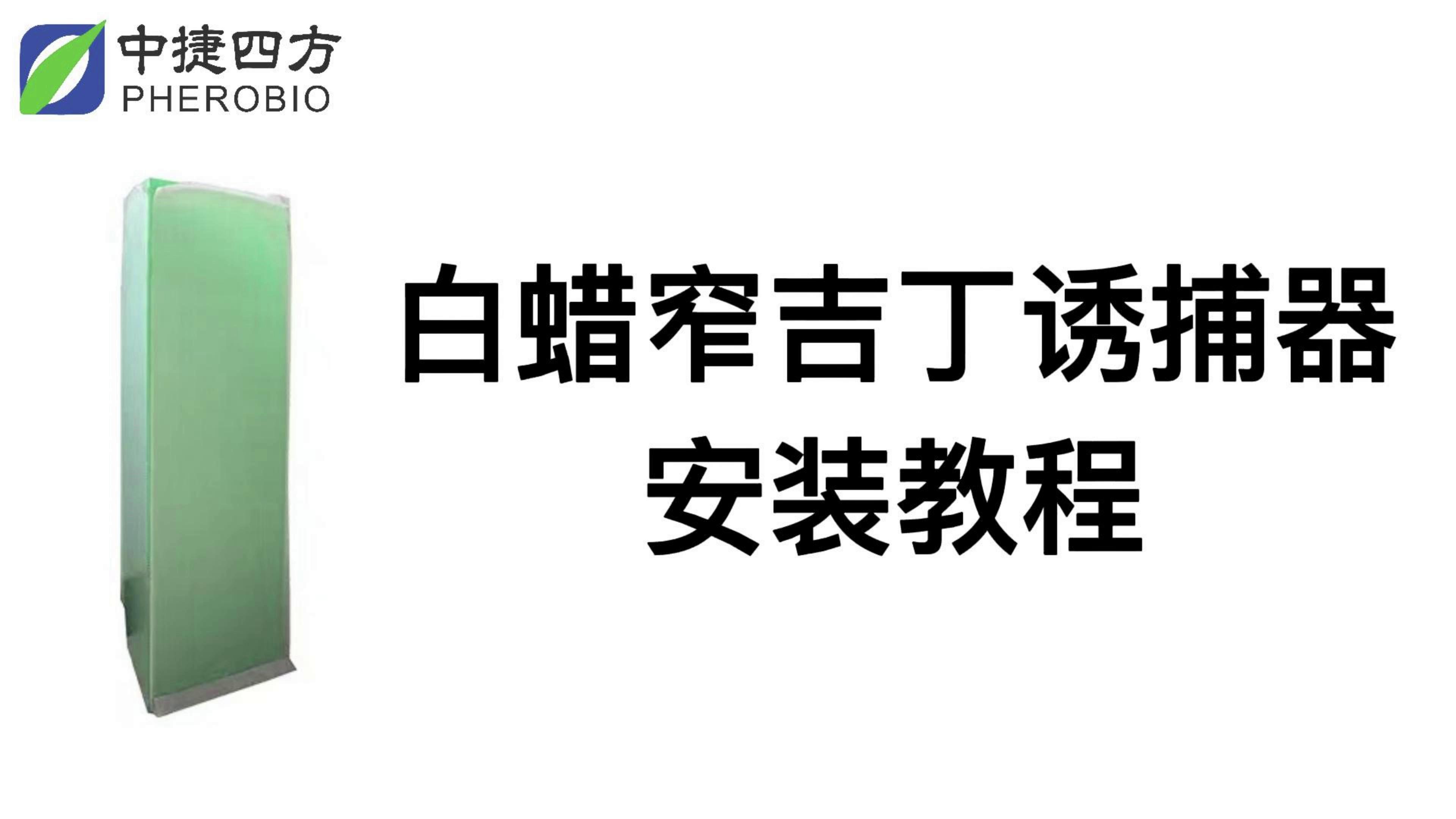 白蜡窄吉丁诱捕器