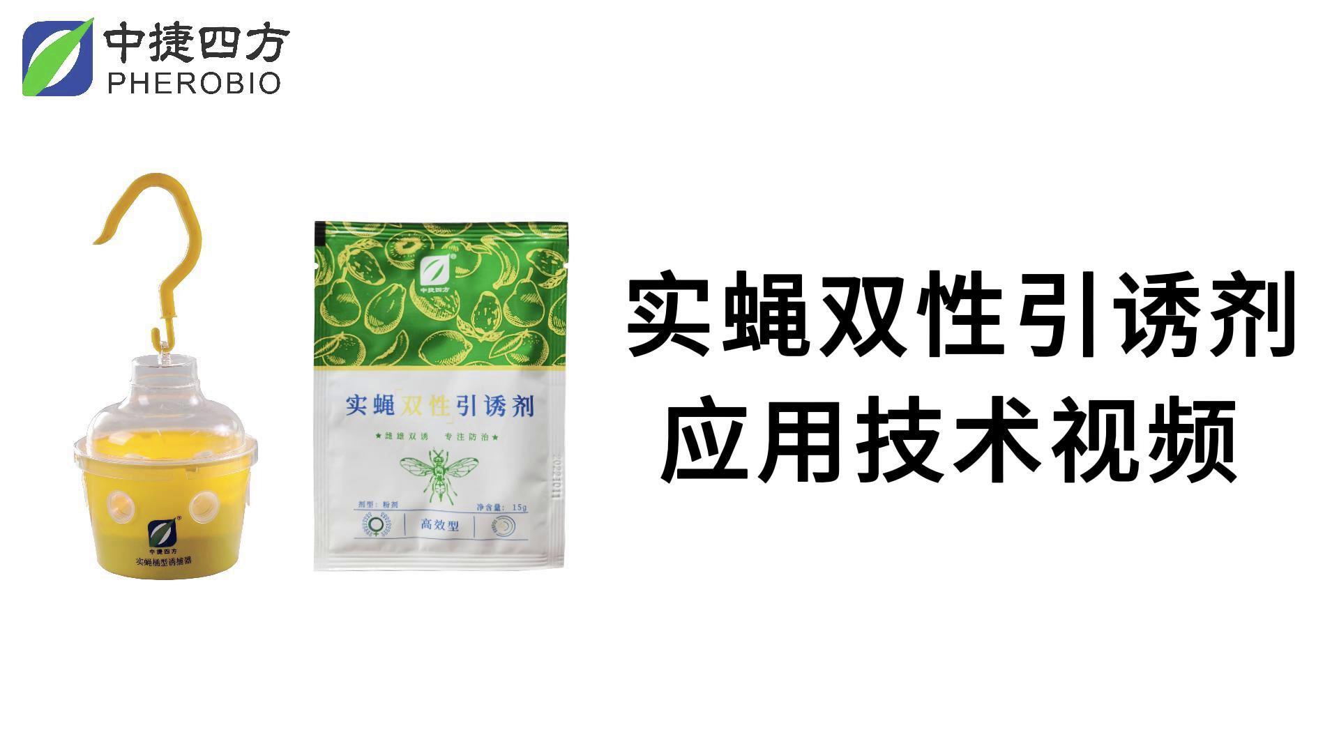 实蝇桶型诱捕器